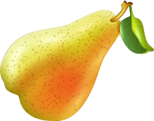 terravexfoods