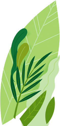 terravexfoods