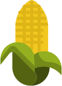 terravexfoods