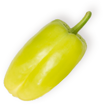 terravexfoods