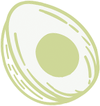 terravexfoods