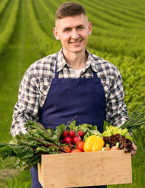 terravexfoods