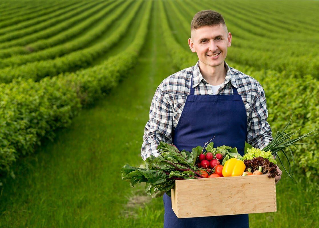 terravexfoods