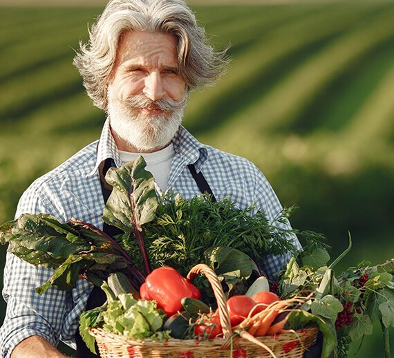 terravexfoods