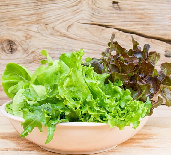 terravexfoods