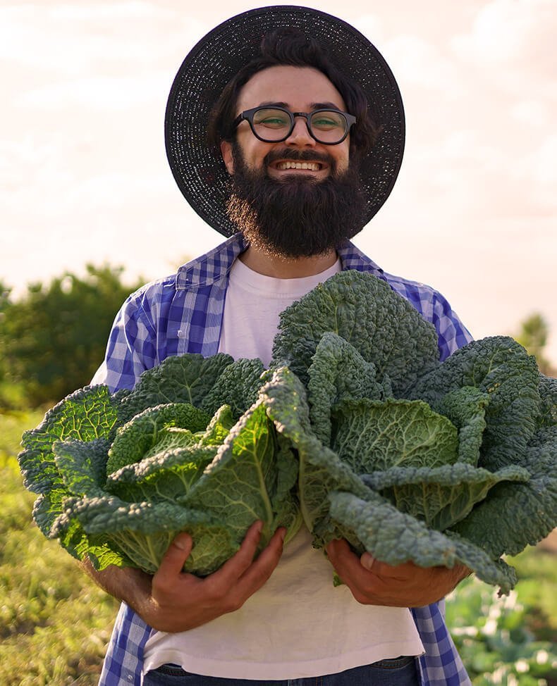 terravexfoods
