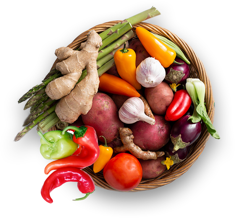 terravexfoods