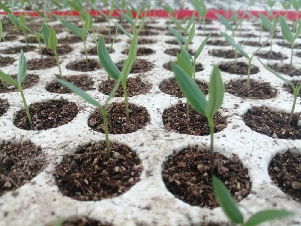Agriculture & Farming Excellence